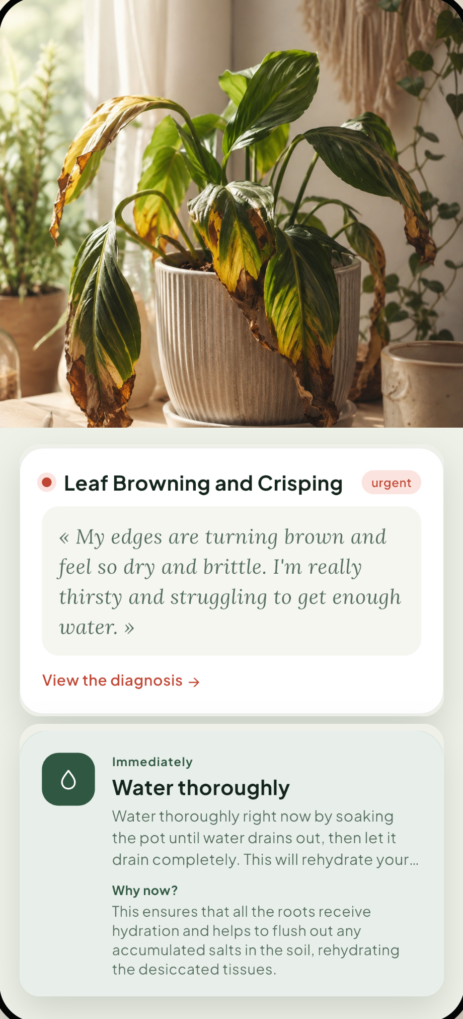 Écran de résultat du diagnostic Limellia