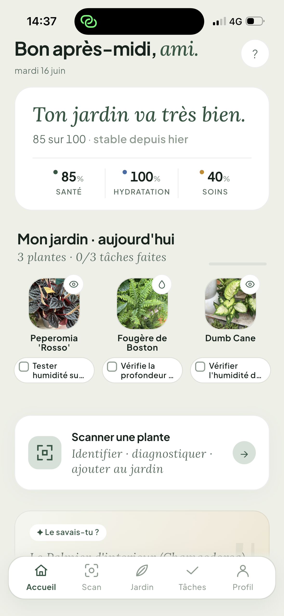 Écran d'accueil de l'app Limellia